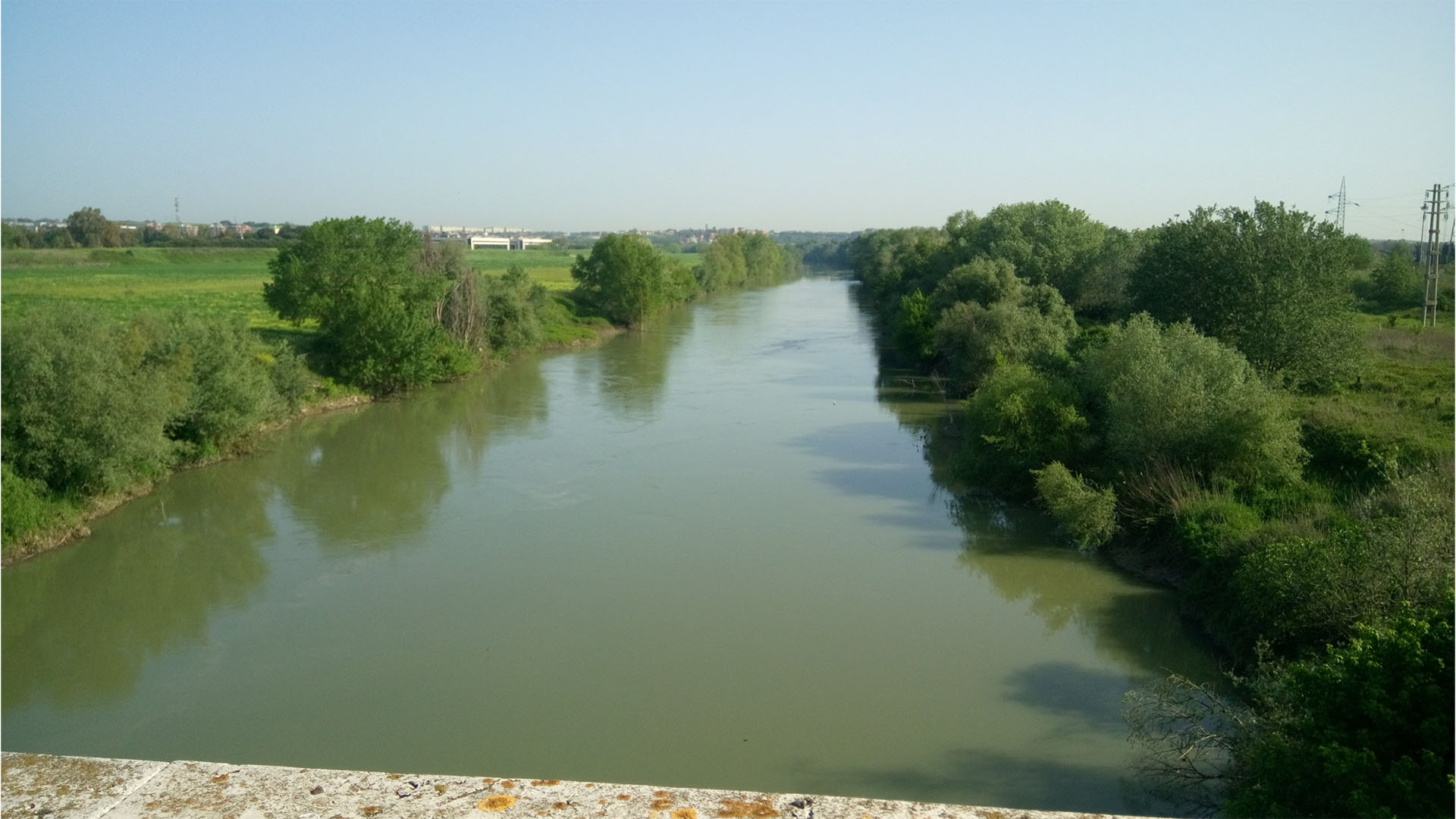 Drizzagno