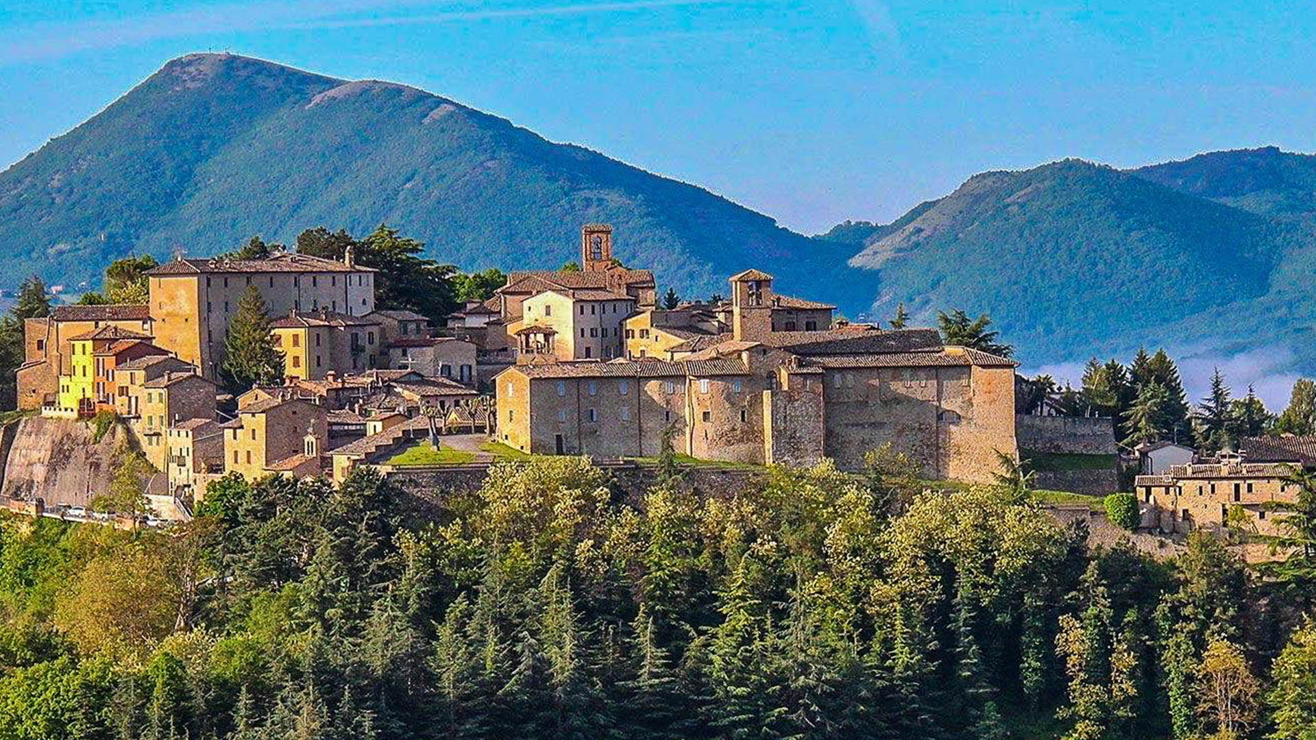 Montone