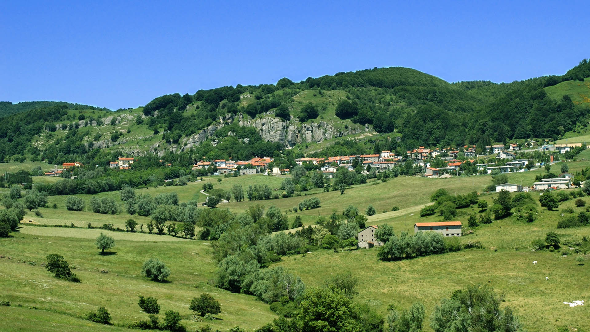 Verghereto