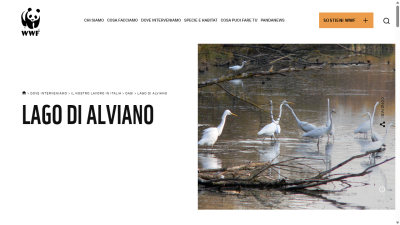 www.wwf.it