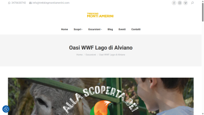 www.trekkingmontiamerini.com