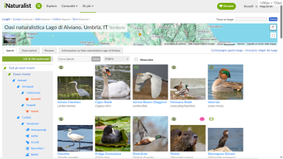 www.inaturalist.org