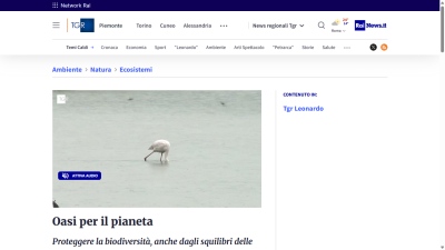 www.rainews.it