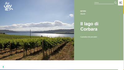 liveorvieto.com