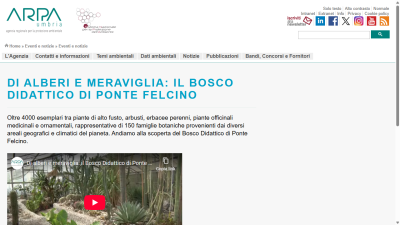 Di alberi e meraviglia- il Bosco Didattico di Ponte Felcino