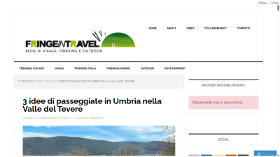 fringeintravel.com